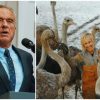 RFK Jr. steps in to join growing fight against Canada's ostrich cull plans