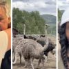 Kootenay Council Wrangles Stay of Execution for 400 Healthy Ostriches