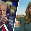 Australia's U.S.-born 'censorship czar' could be BANNED from her homeland